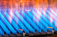 Dalchalm gas fired boilers